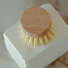 Load image into Gallery viewer, No Tox Life - Casa Agave™ Long Handle Dish Brush