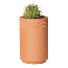 Load image into Gallery viewer, Modern Sprout - Terracotta Kit - Cactus